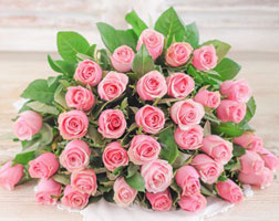 Send Flowers to South Africa