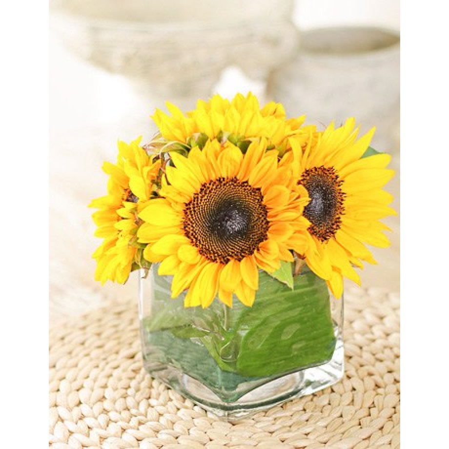 110（Ｏ!!）  Sunflowers ボウル Sunflowers in a Vase | inMotion Flowers