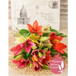 Mixed Lily Bouquet 