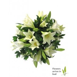 White Lily Bouquet for Mothers Day