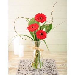 Red Gerberas in Speci Vase