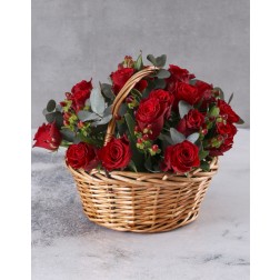 Basket Splendour