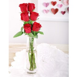 6 red roses in a vase