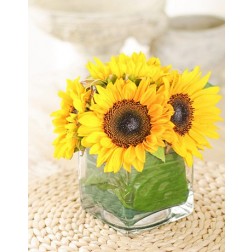 Sunflowers in a Square Vase