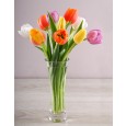 Mixed tulips in a glass vase