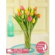 Mixed Tulips in a Glass Vase