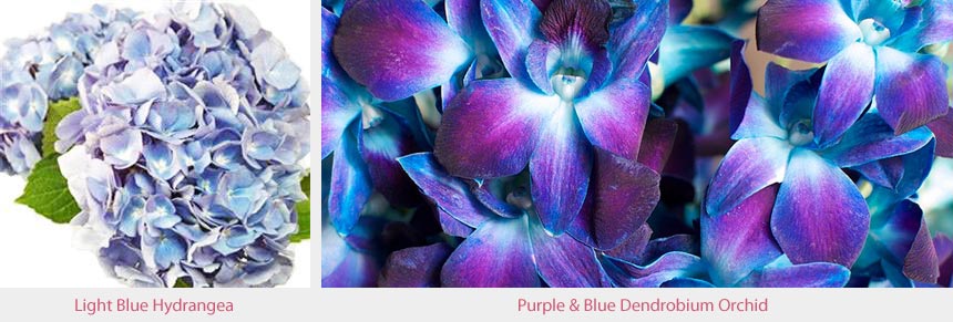 Blue Hydrangea & Blue & Purple Dendrobium Orchid Wedding Flowers